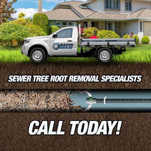 Sewer Tree Root Removal Specialists In Cannon Hill